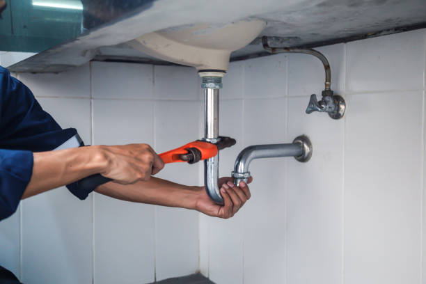Best Water Leak Repair  in Goodrich, MI